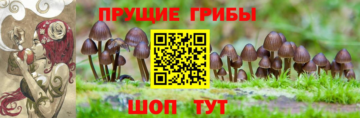 Галлюциногенные грибы прущие грибы Стерлитамак